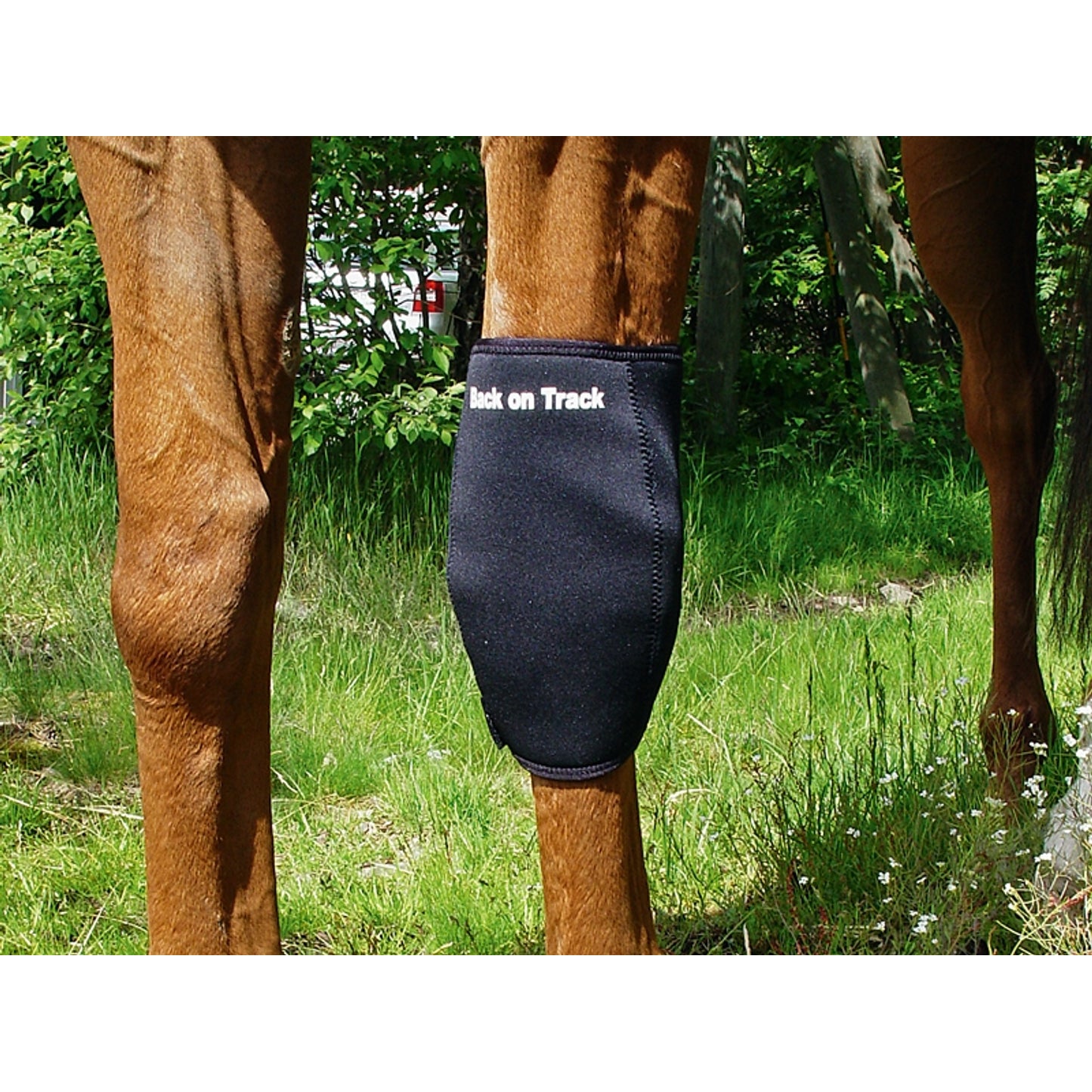 2036_kneebootleft_2_web.jpg