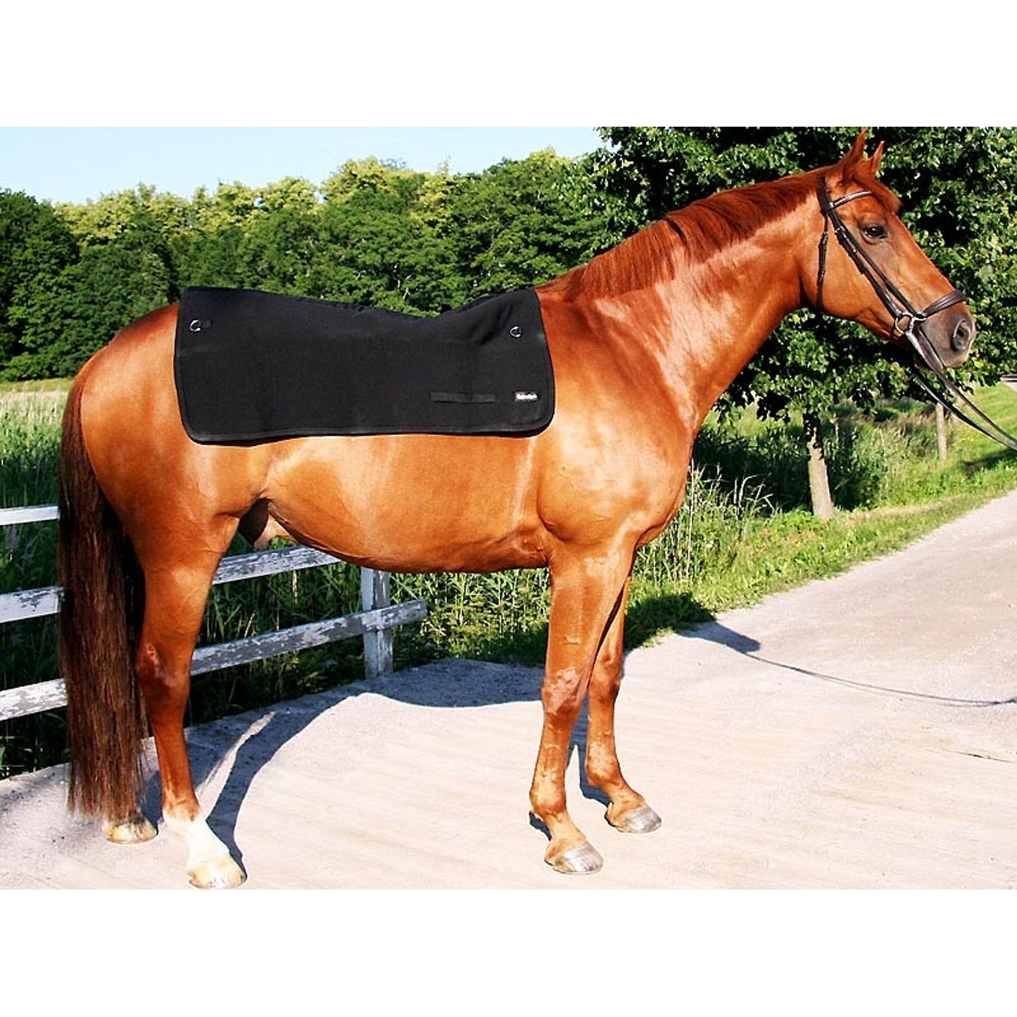 2100_horsebackwarmer_2_web.jpg