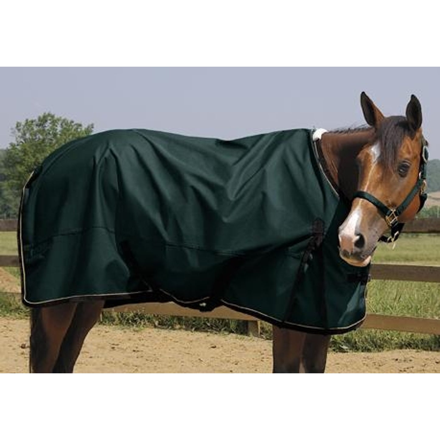 351515_hunter_green.jpg
