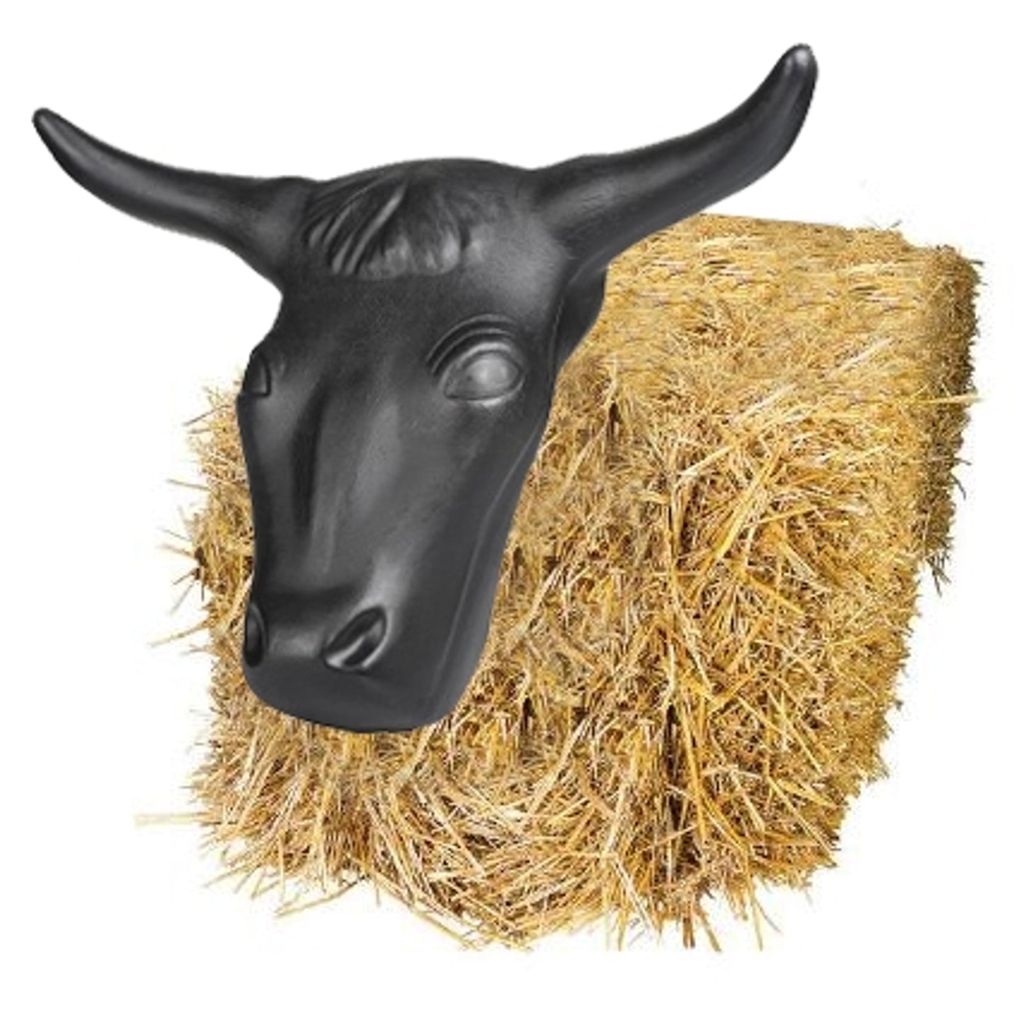 4-294776hay.jpg