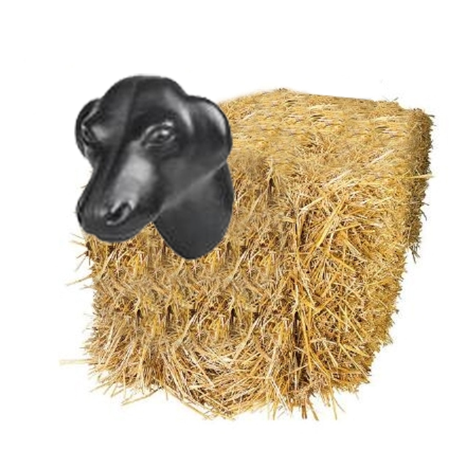 4-294777hay.jpg