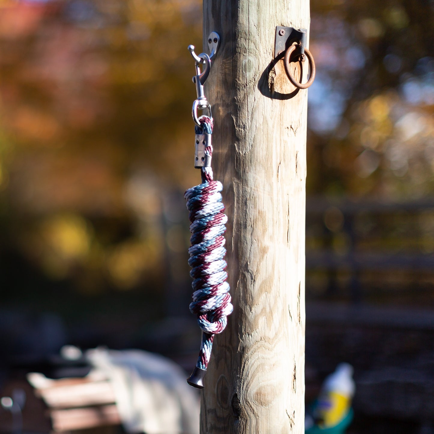 4-332898-b.jpg