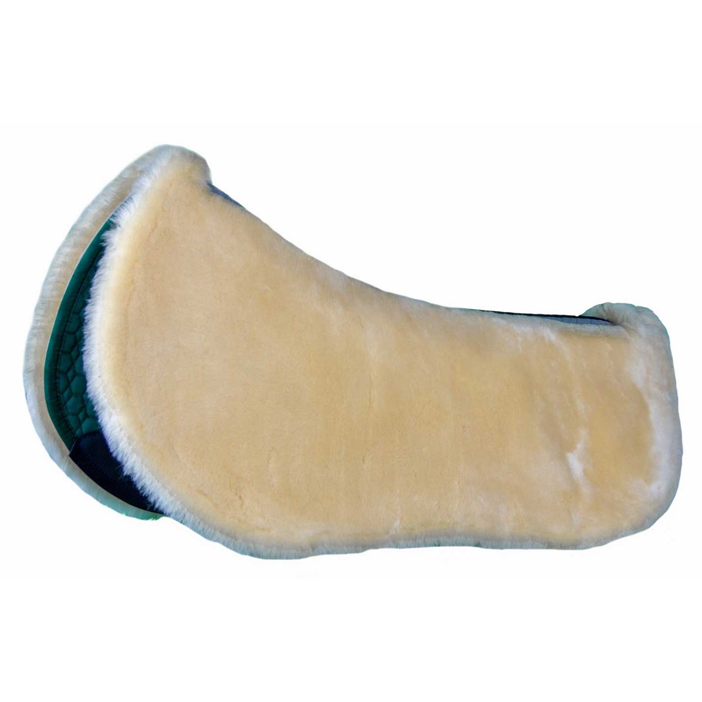 4-383548-b.jpg