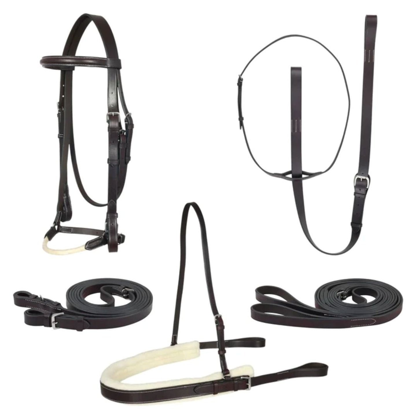4-546661.jpg