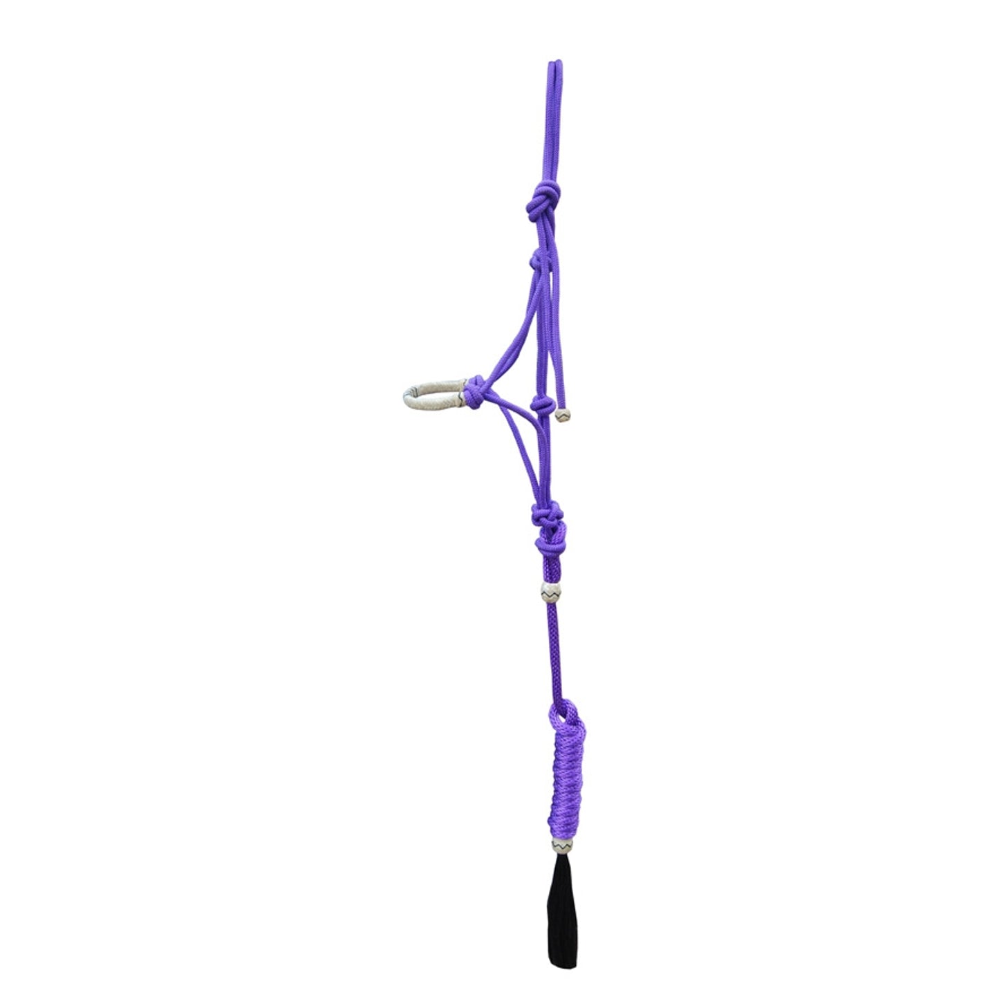 469272-purple.jpg