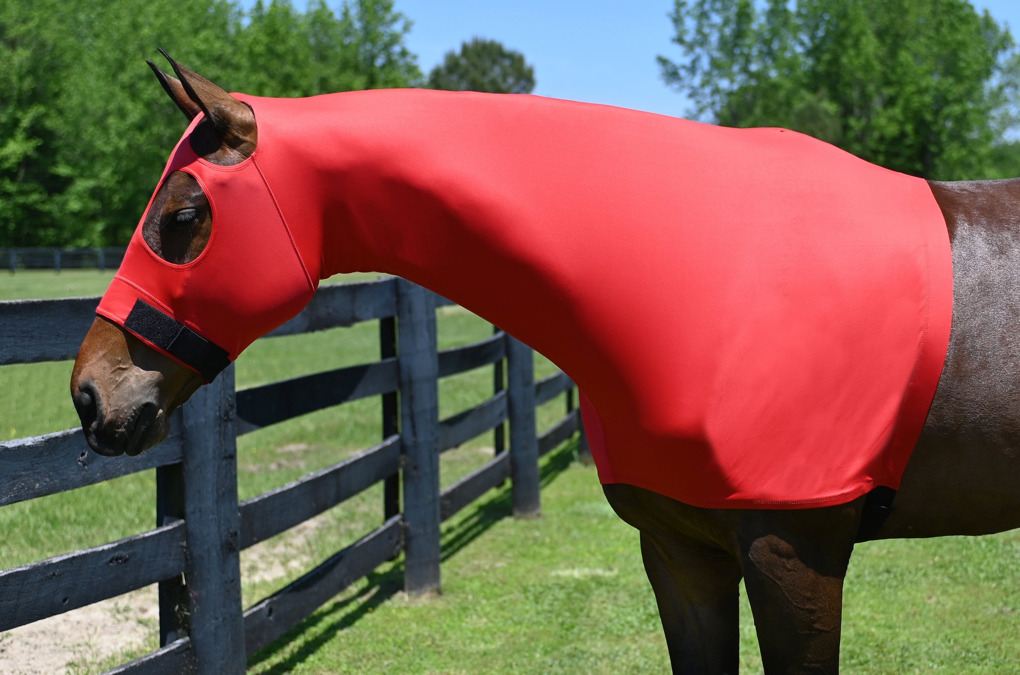 Tabelo StretchX Pull On Slicker Hood HorseLoverZ