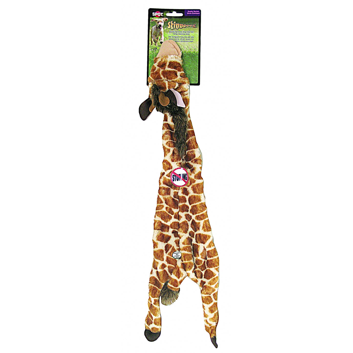 5-456998.jpg