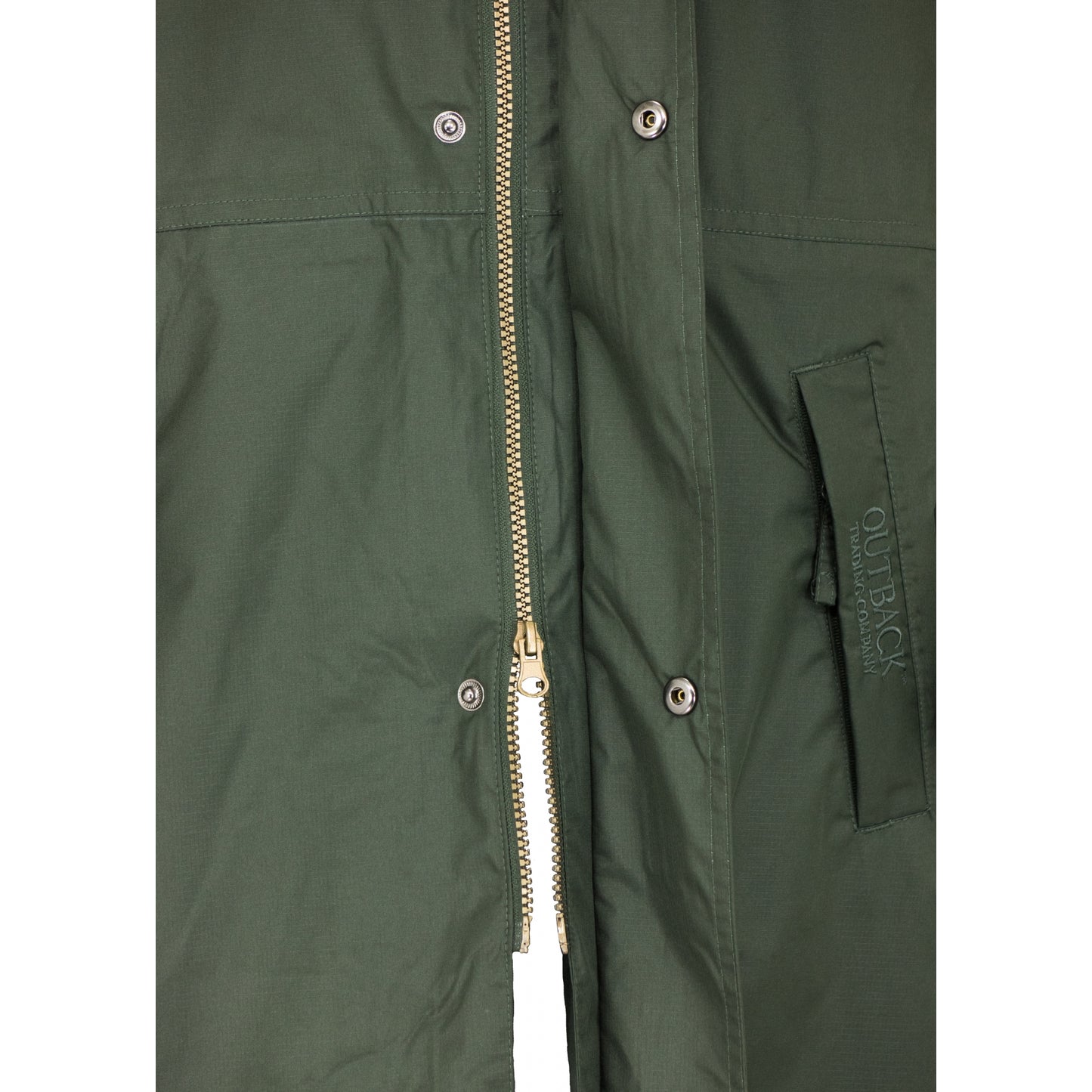 5-622767-olive2.jpg