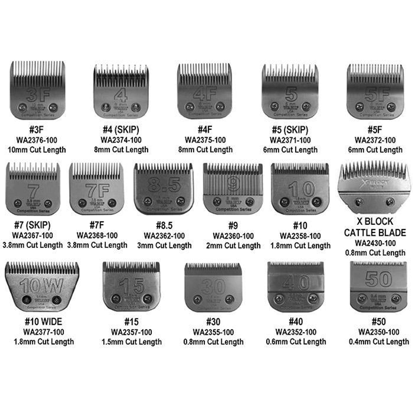 5-785954.jpg