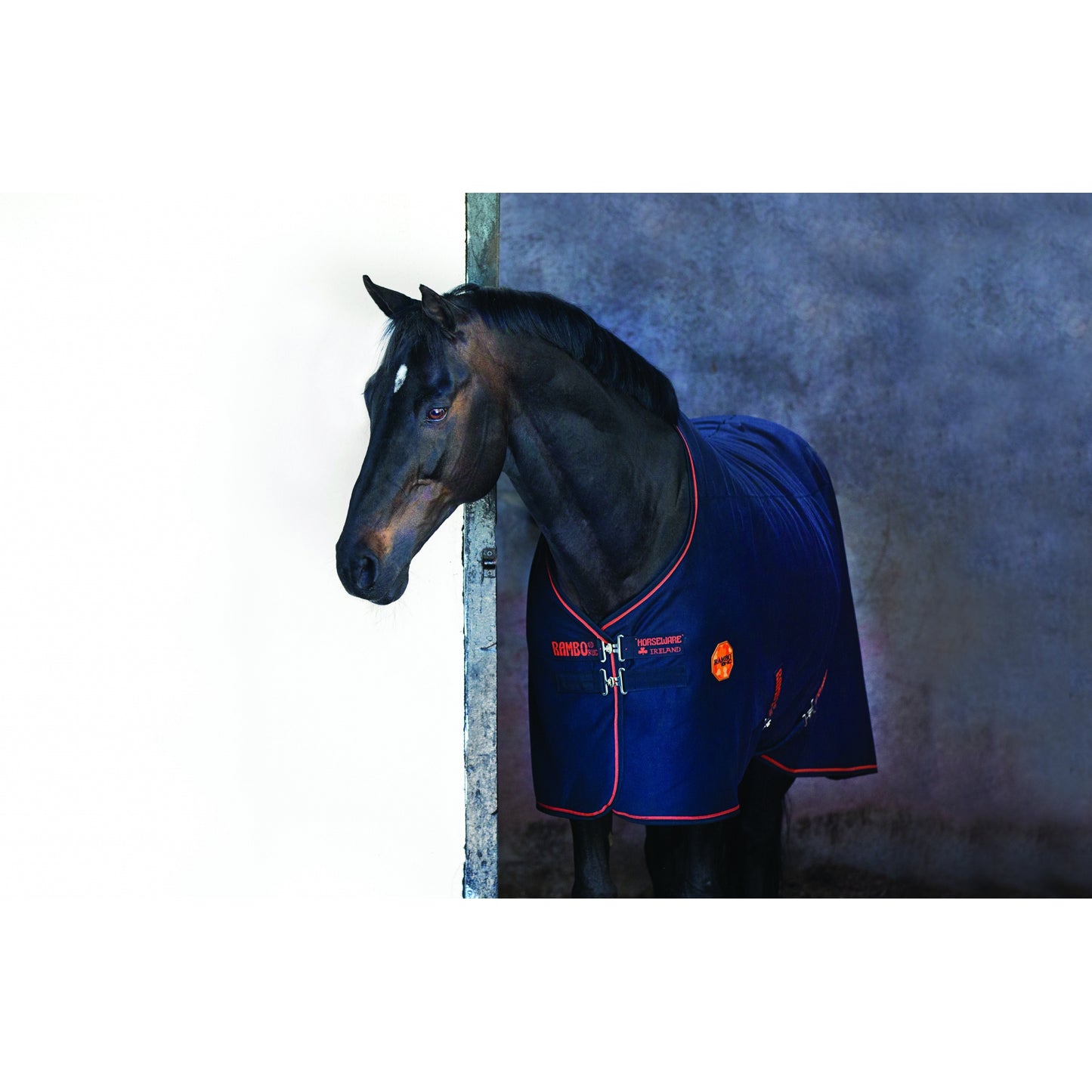 5-821084-blackblackorange.jpg