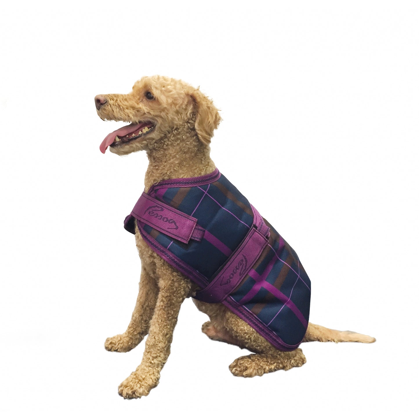 5-827175-navymagentaplaid.jpg
