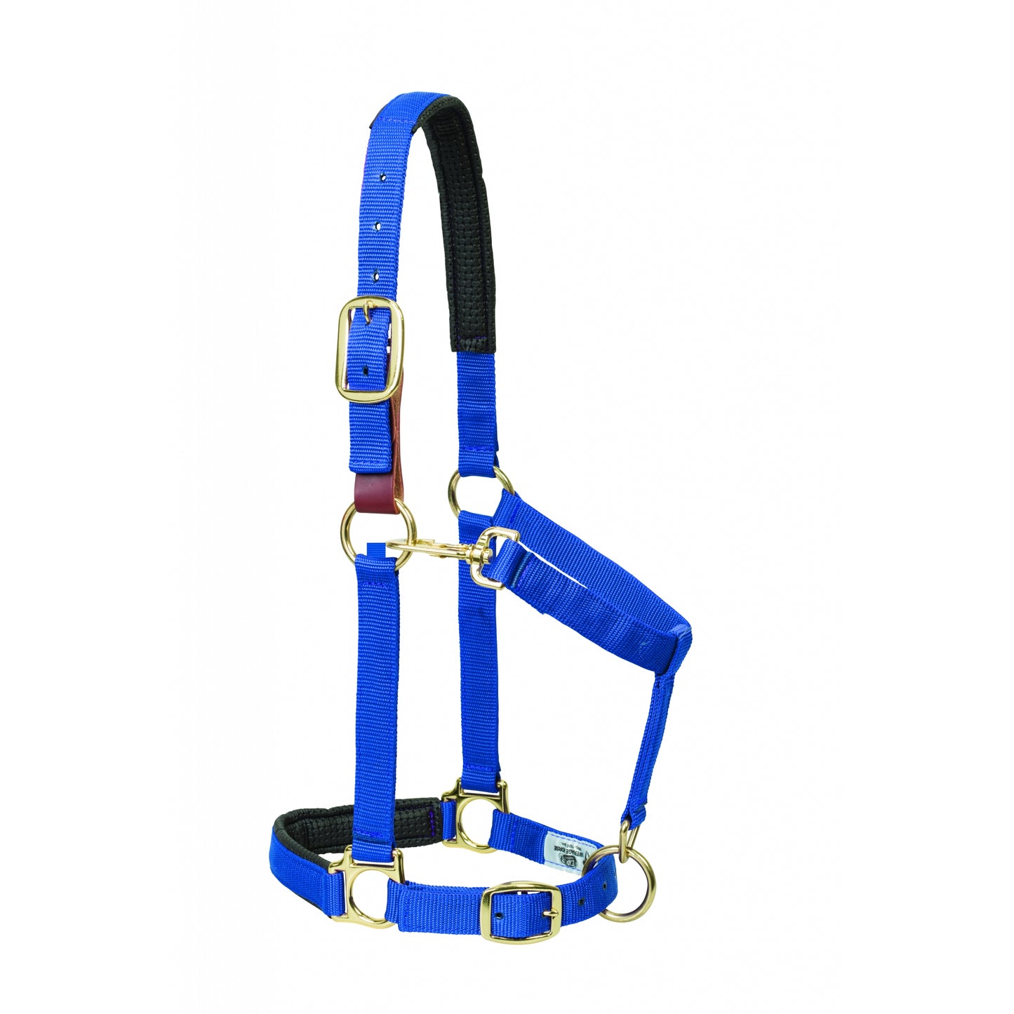 5-841205-blue.jpg