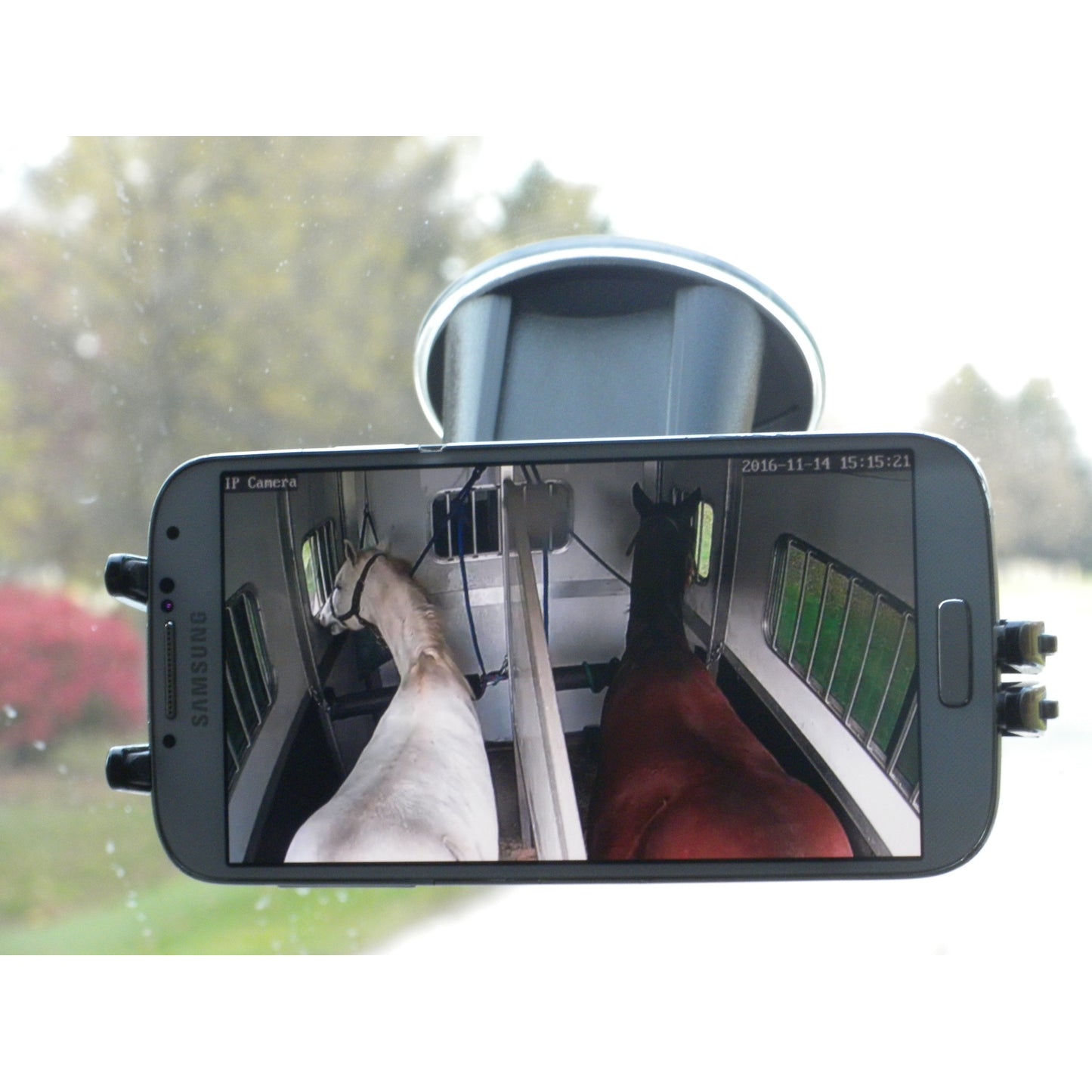5-895186-inhorsetrailer.jpg