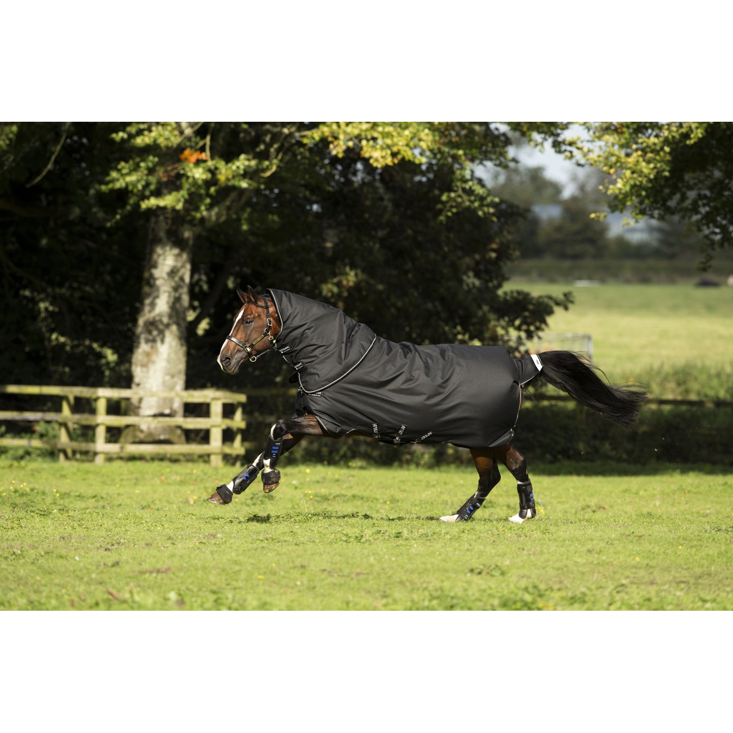 5-924598-blackblacksilver.jpg