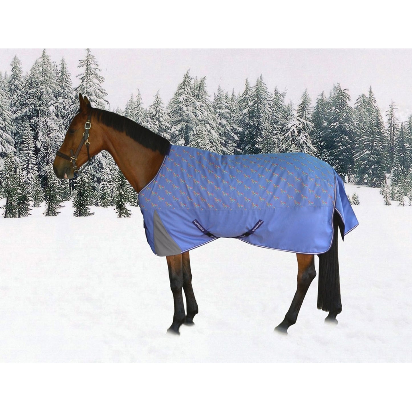 5-960360_periwinkle.jpg