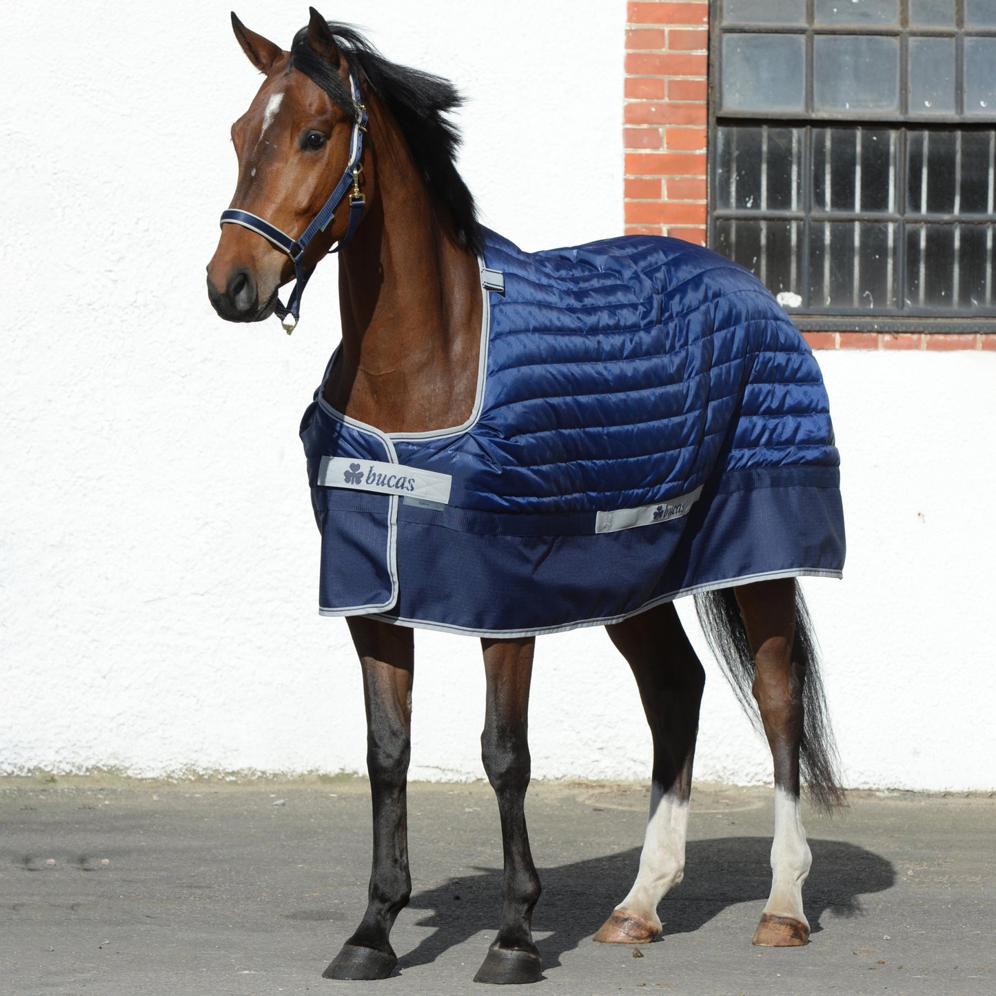 5-962535-selectquiltgeneric.jpg