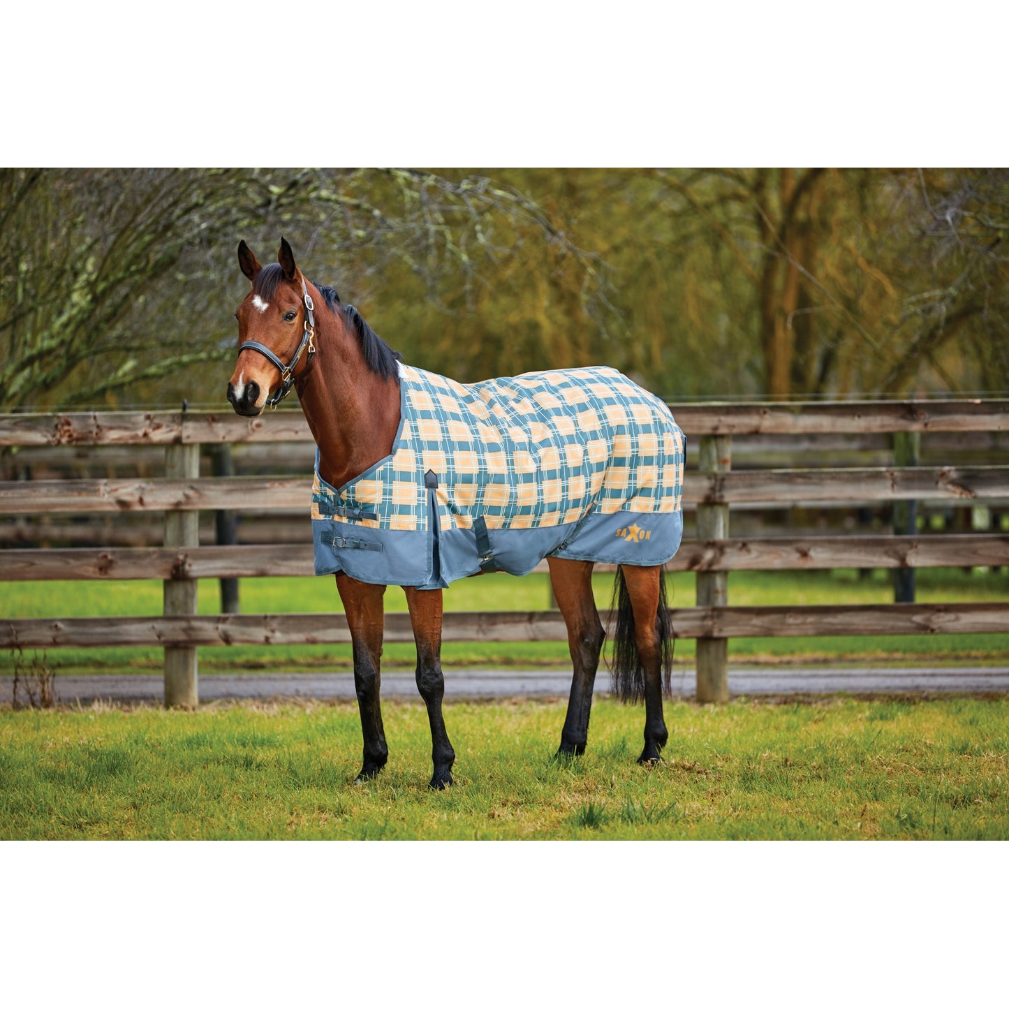 5-973030-greypebblesandplaid.jpg