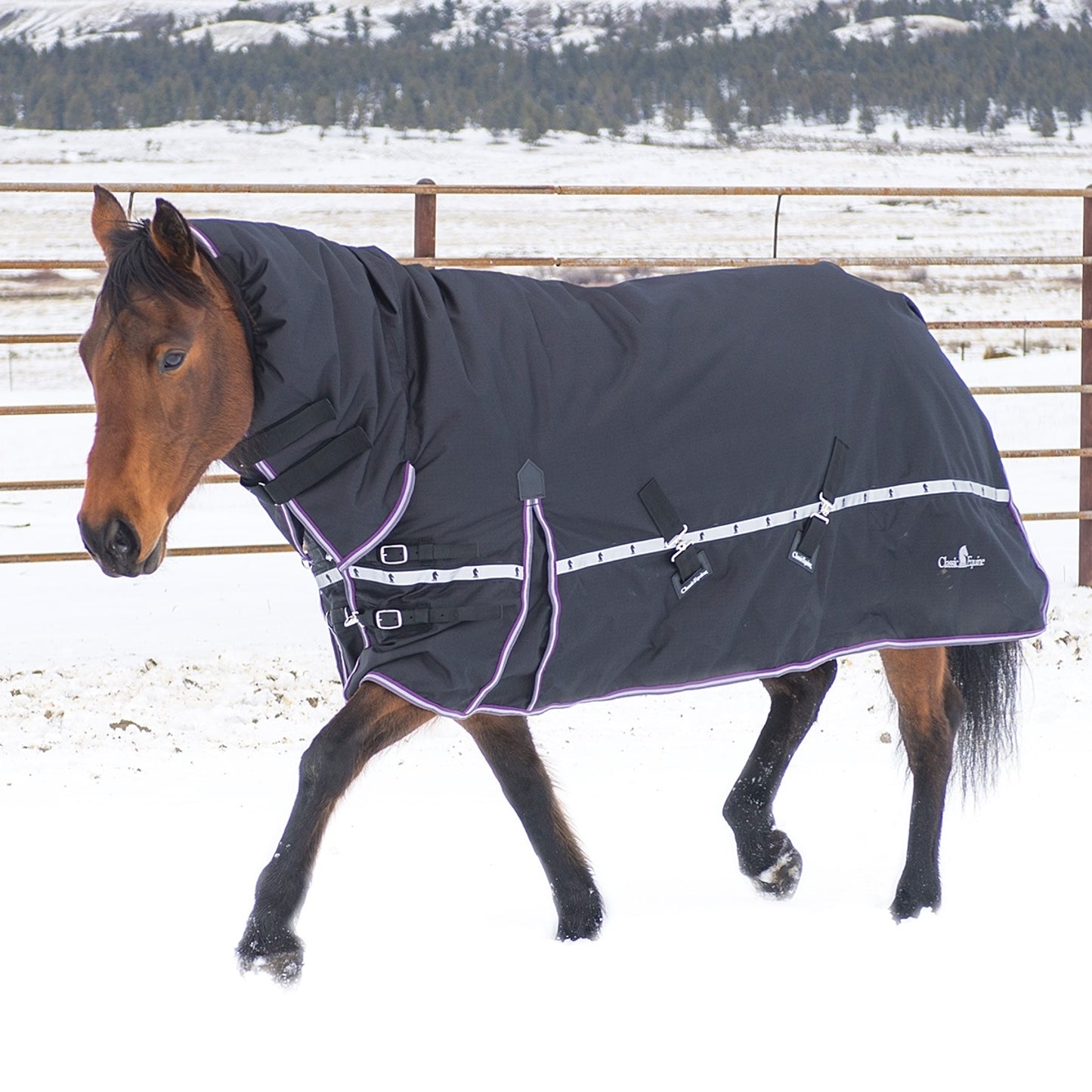 5-976780-black.jpg