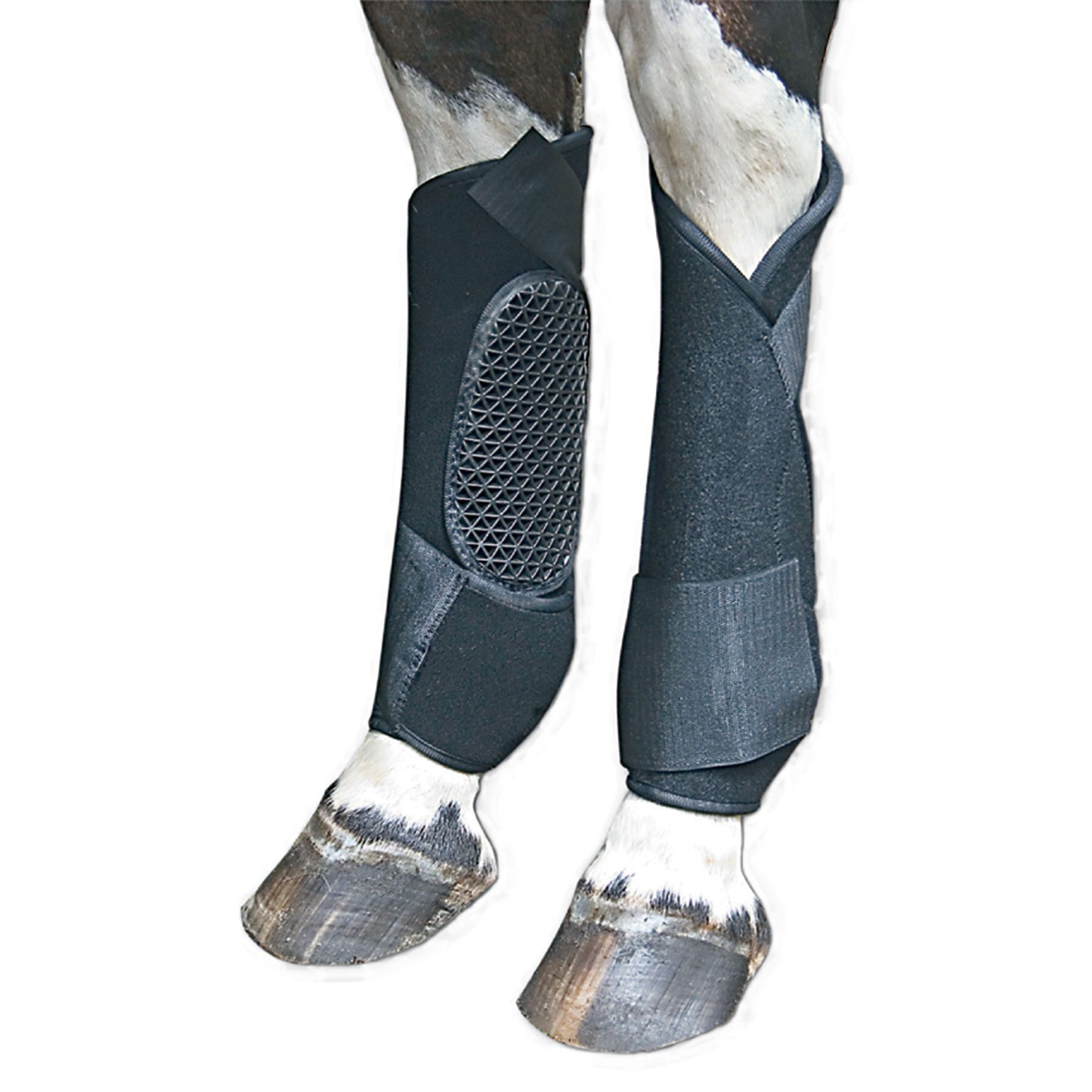 6-191675.jpg