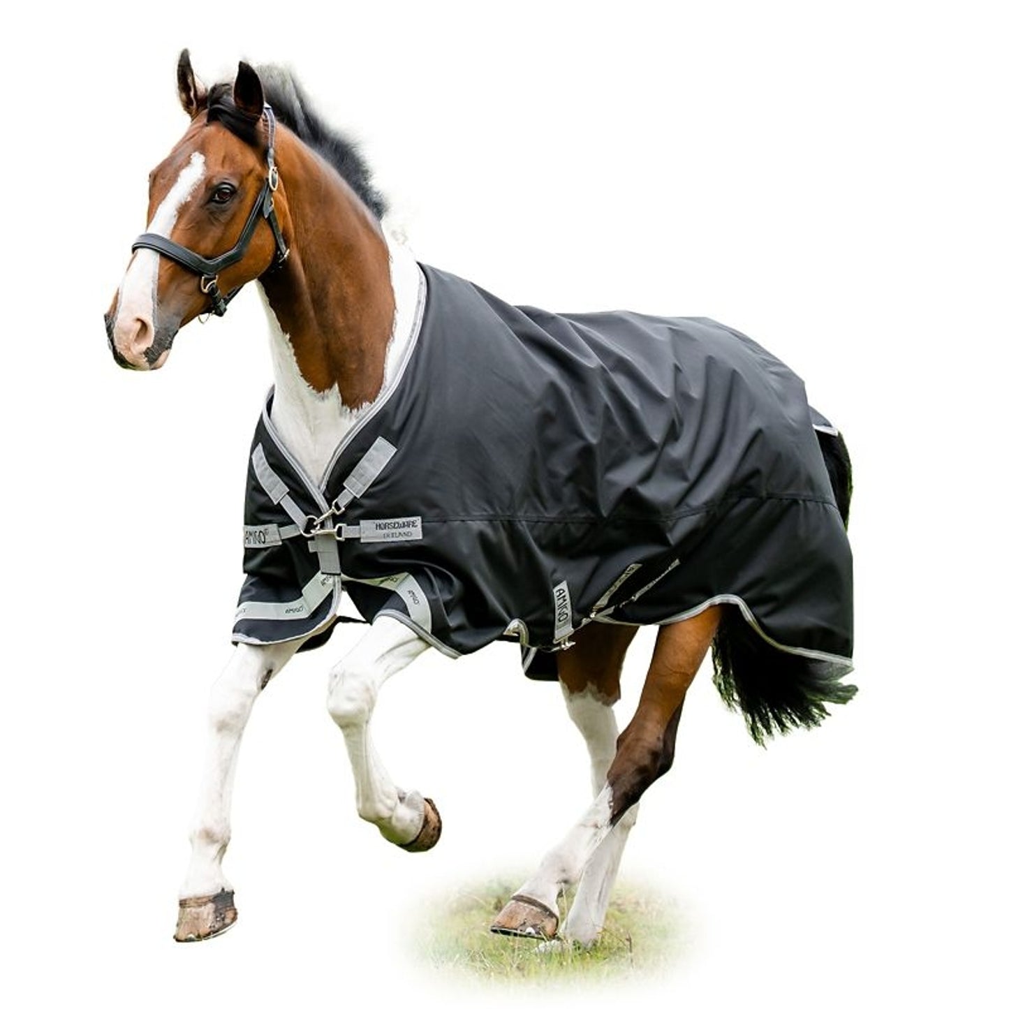 Amigo Bravo 12 XL Original Turnout (250g Medium)