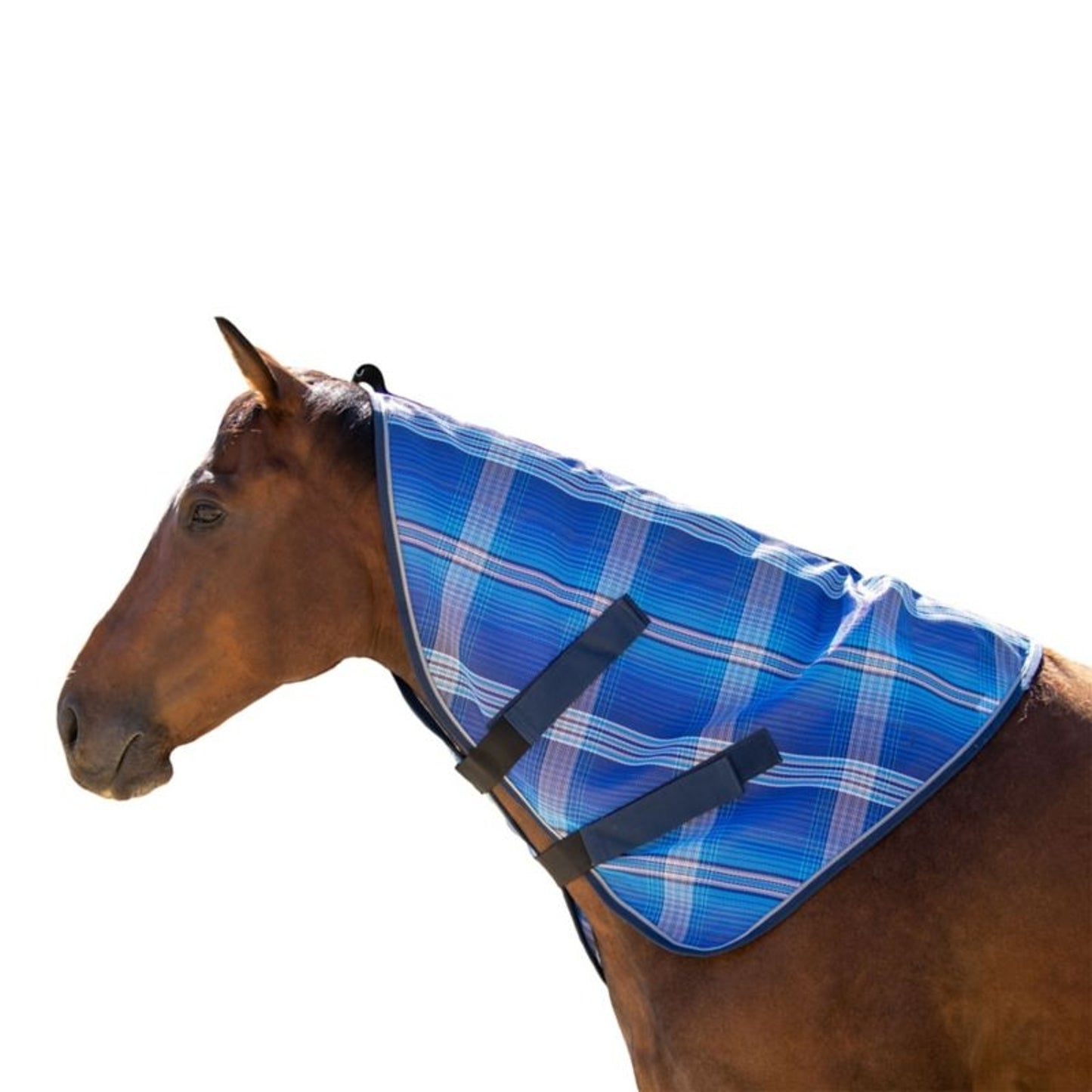 Kensington Protective Neck Piece