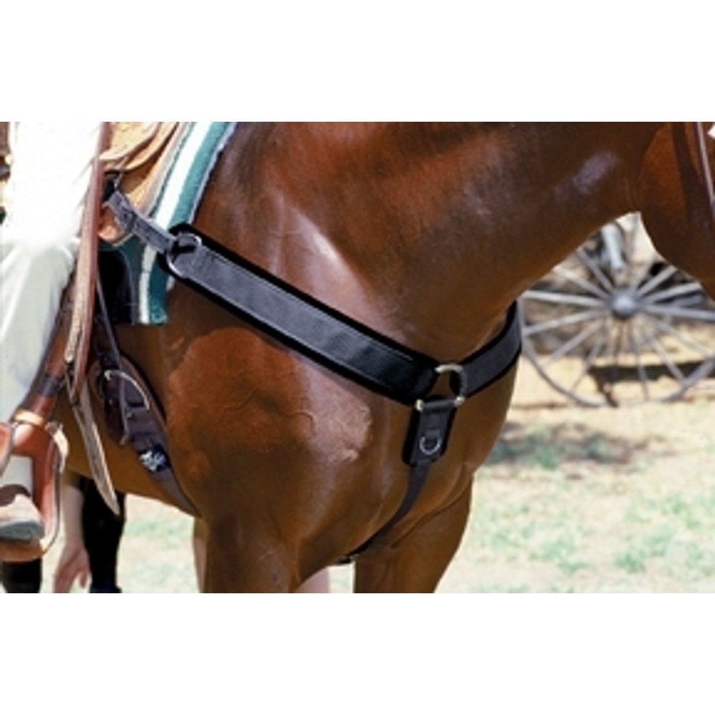 Professionals Choice Smx Neoprene Breast Collar