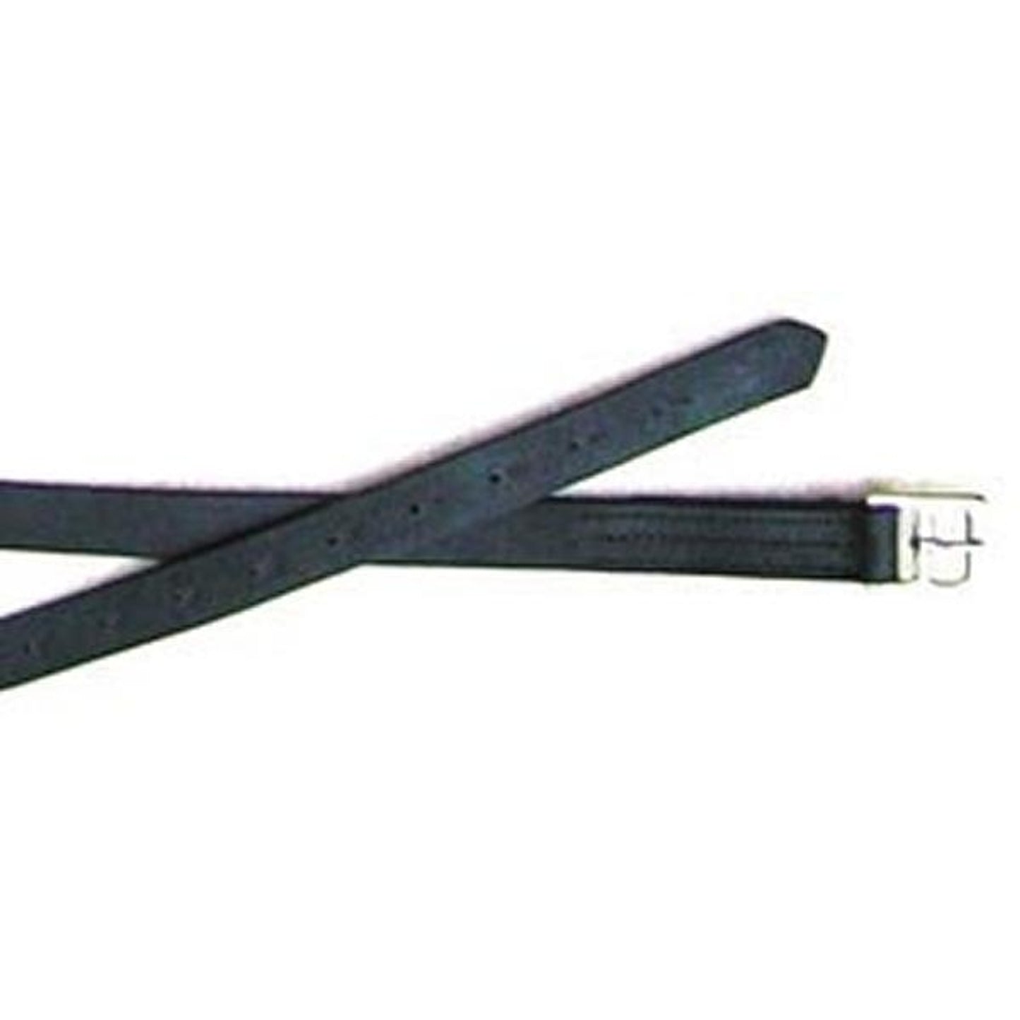 thorn32500.jpg