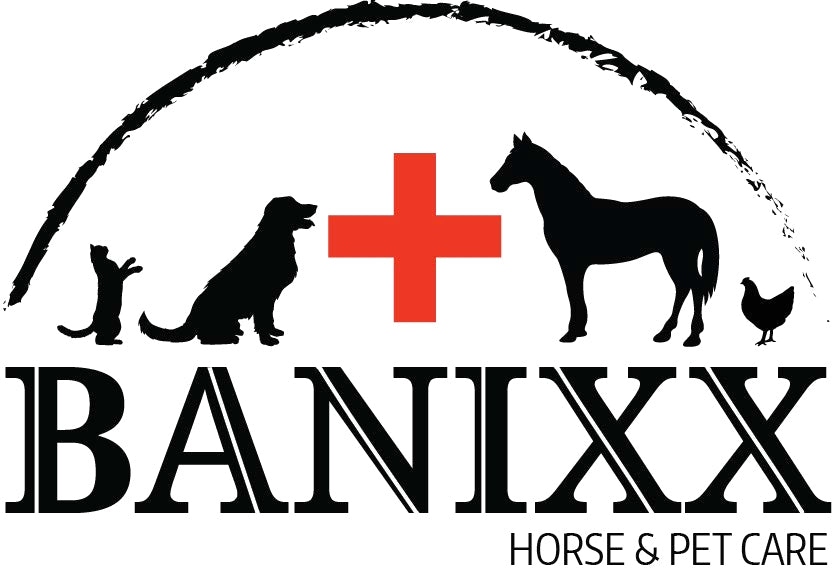 Banixx