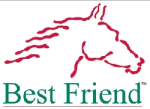 Best Friend