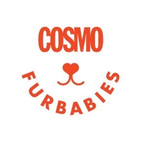 Cosmo Furbabies
