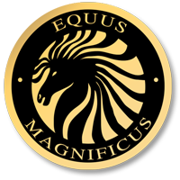 Equus Magnificus