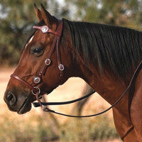 Western Bitless Bridles