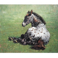 Paintings & Wall Hangings
