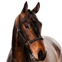 Horse Halters