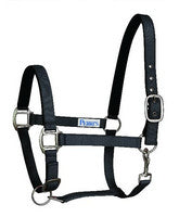 Breakaway Halters