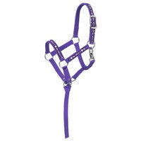 Miniature Horse Halters