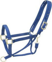Nylon Halters