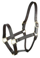 Leather Halters