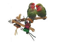 Pet Bird Perches