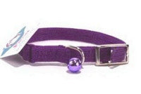 Cat Collars & Tags