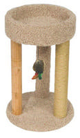 Cat Furniture & Scratchers