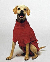 Dog Apparel