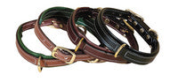 Dog Leashes & Dog Collars