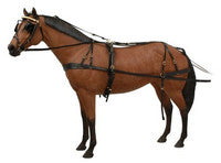 Horse Harnesses