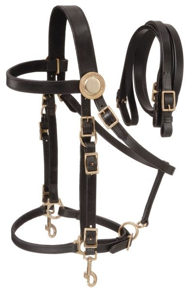 Western Tack & Riding Equipment