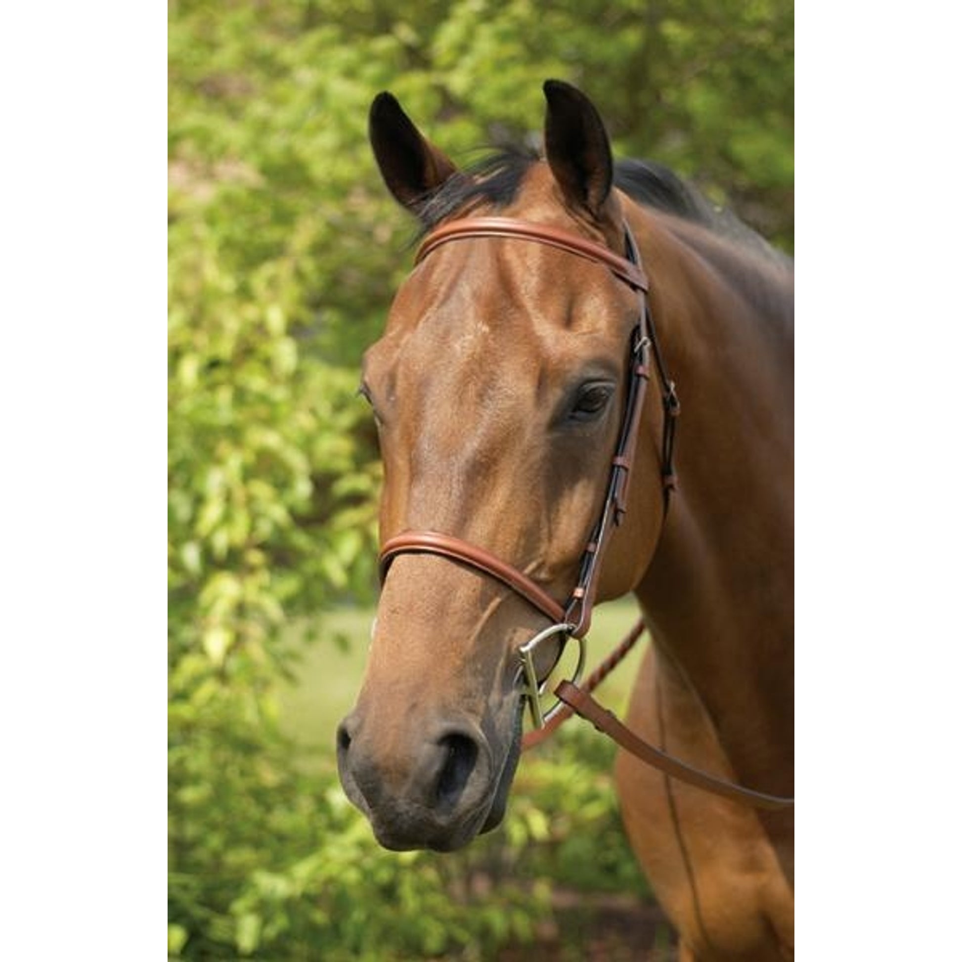 Henri de Rivel Advantage Flat Laced Reins