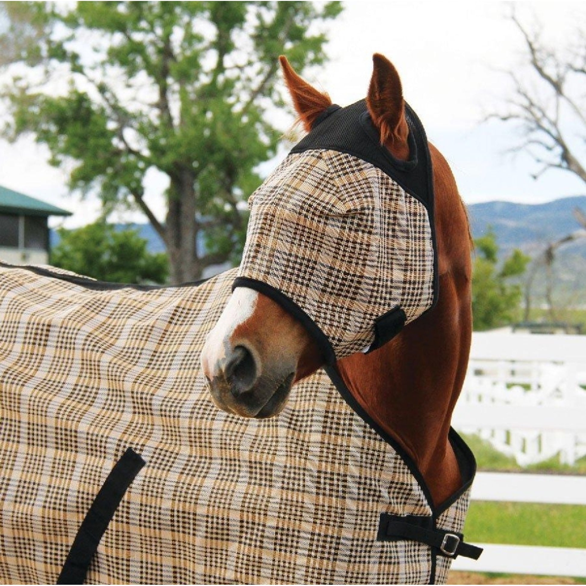 Centurion 1000D PVC Fly Sheet