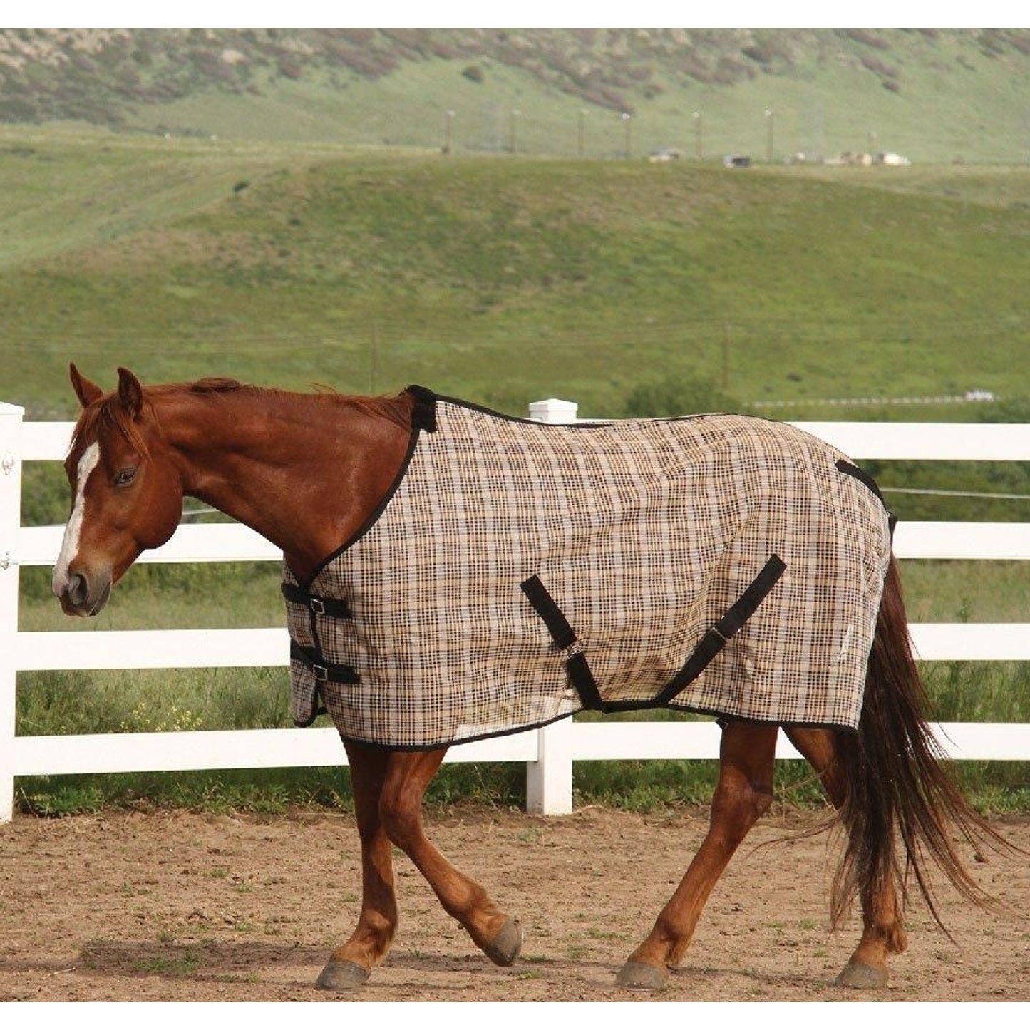 18-100-flysheet.jpg
