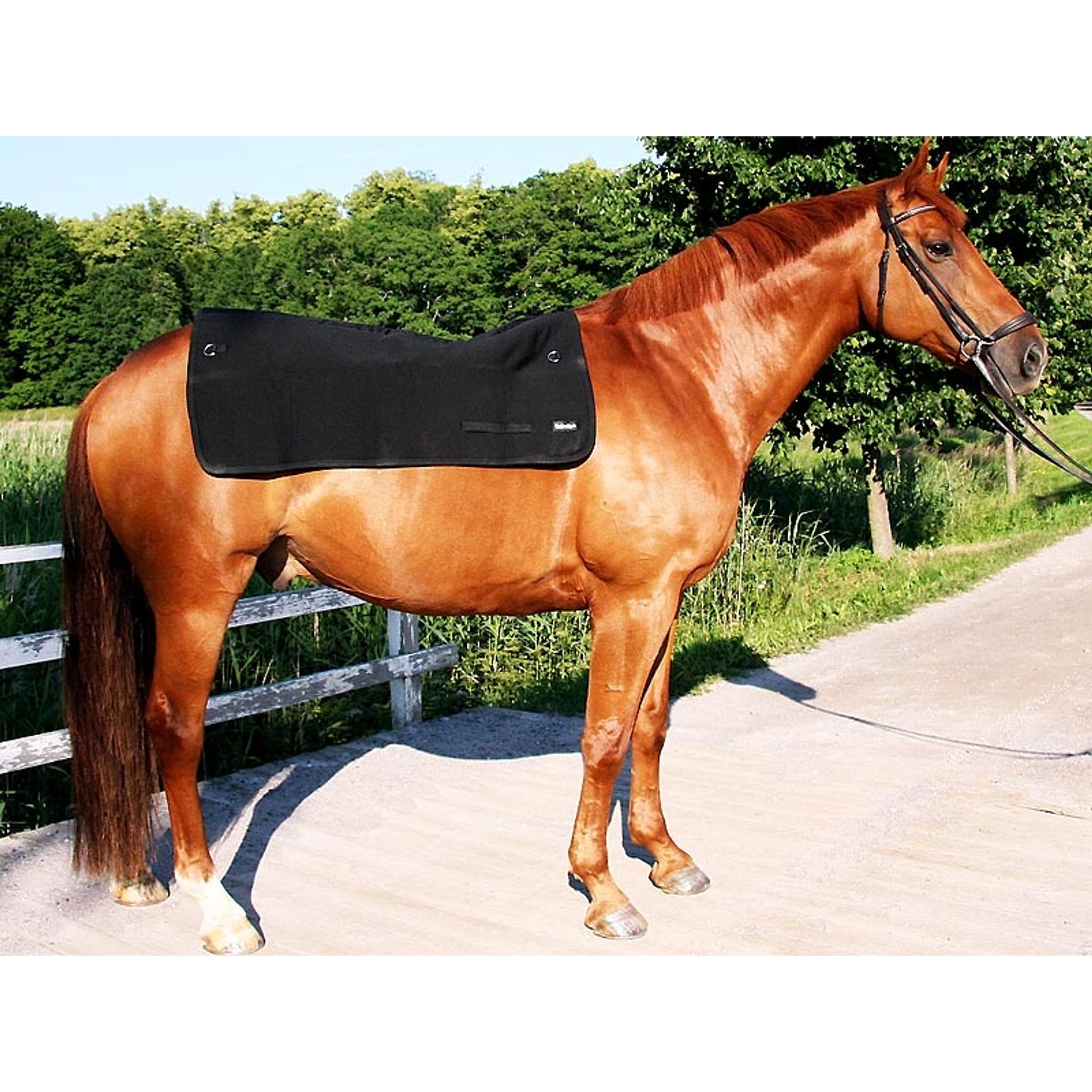 2100_horsebackwarmer_2_web.jpg