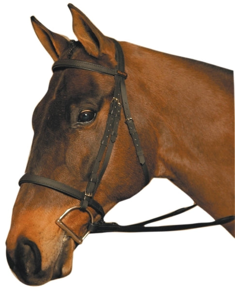Wintec Bridle